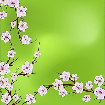 EPS 해외이미지 나무 식물 무료이미지 디자인 꽃 아시아 분홍색 백그라운드 컨셉 잎 꽃무늬 패턴 일러스트 자연 벽지 추상 미술 그래픽 장식 초록색 우주 환경 일본 웹 봄 성장 벚꽃 흰색 직물 신선 신용카드 개화 체리 인쇄 천 심볼 그림 에코 질감 내추럴 생태학 엘리먼트 포장소품 해외202008 해외202105 해외일러스트 계절 교육 나라 컬러 무늬 인터넷 과일 포장 문화예술 금융 오브젝트 생태계 포장재료 파일형식 벡터 무료콘텐츠