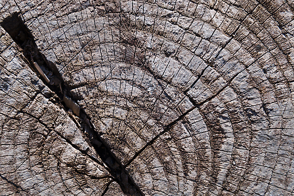 포토 JPG 해외이미지 나무 디자인 벽 백그라운드 패턴 자연 벽지 표면 날씨 추상 사람없음 목재 장식 울타리 갈색 어둠 손상 회색 수확 골동품 시골 판넬 거친 균열 널 낟알 천 묘사 질감 복고 내추럴 그런지 엘리먼트 옛날 중고 노화 해외202008 해외포토 식물 컬러 컨셉 무늬 농업 재료 모션 담장 직물 생태계 파일형식