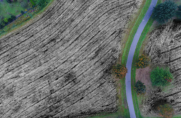 포토 JPG 해외이미지 모양 식물 지구 선 백그라운드 밭 농업 추상 풍경 초원 사람없음 초록색 농경지 흙 시골 땅 질감 기하학 대각선 구성 드론 땅바닥 밭일 조감도 줄서기 세련 해외202008 해외포토 산업 컬러 무늬 모션 바닥 농장 파일형식