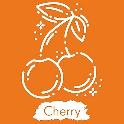 EPS 해외이미지 디자인 계절 선 모래 파도 바다 섬 여행 일러스트 휴가 휴식 미술 취미 해변 야외 그래픽 수확 뜨거움 화려 체리 낙서 스케치 심볼 오브젝트 사인 그림 윤곽 고립 야외의자 엘리먼트 스타일 해외202008 해외일러스트 컨셉 농업 의자 과일 문화예술 파일형식 벡터