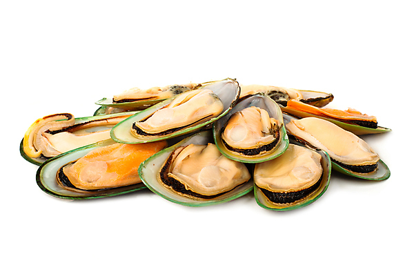 포토 JPG 해외이미지 전통 접시 디자인 음식 바다 백그라운드 오렌지 조개 새로움 연체동물 건강 요리 사람없음 초록색 세트 쌓기 식사 저녁식사 껍질 흰색 신선 오픈 그룹 자르기 해산물 날것 뉴질랜드 홍합 내추럴 점심식사 고립 많음 맛있는 해외202008 해외포토 식기 컬러 컨셉 과일 모션 어패류 무척추동물 오세아니아 파일형식