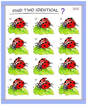 EPS 해외이미지 모양 동물 교육 실루엣 종이 어린이 곤충 일러스트 학교 자연 기술 책 스터디 장난감 운동 숫자 유치원 게임 아기 수학 퍼즐 인쇄 만화 신학기 교과서 그림 무당벌레 페이지 미로 발견 똑같은 카운트 해외202008 해외일러스트 문자 교과목 놀이 교재 촬영기법 건강 사람 학습 생태계 파일형식 벡터