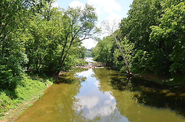 포토 JPG 해외이미지 나무 잎 자연 사람없음 야외 초록색 물 강 반사 환경 개울 숲 해외202008 해외포토 자연요소 식물 컬러 생태계 파일형식