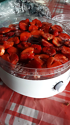 포토 JPG 해외이미지 라이프스타일 접시 열매 음료 음식 백그라운드 잎 다이어트 과일 탁자 딸기 디저트 건강 요리 초원 사람없음 목재 컵 빨간색 초록색 여름 정원 흰색 기구 침대 직물 신선 달콤 맛 아침식사 정상 먹기 오브젝트 유기농 위치 비타민 숙성 맛있는 해외202008 해외포토 나무 식물 식기 웰빙 계절 컬러 가구 컨셉 재료 모션 생활 식사 영양소 파일형식