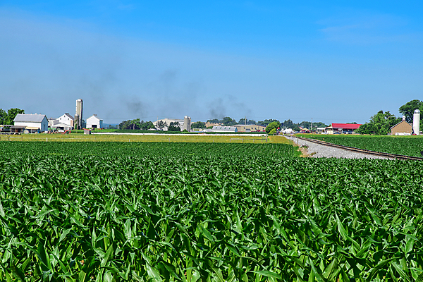 포토 JPG 해외이미지 식물 구름 음식 잎 밭 농업 채소 자연 하늘 콩 안테나 풍경 초원 사람없음 초록색 여름 농작물 햇빛 태양 농장 농경지 수확 성장 시골 신선 낟알 땅 유기농 내추럴 대두 드론 밭일 줄서기 세련 해외202008 해외포토 자연요소 웰빙 계절 산업 컬러 통신 모션 곡류 생태계 파일형식