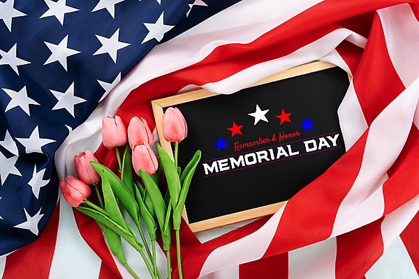 포토 JPG 해외이미지 기념일 별 백그라운드 벽지 휴가 기념 사람없음 빨간색 파란색 우주 칠판 미국 줄무늬 튤립 자유 흰색 축하 깃발 직물 4 호주 선거 민주주의 심볼 사인 질감 군용 기념물 애국심 7월 대통령 독립 전국 해외202008 해외포토 자연요소 꽃 컬러 컨셉 북아메리카 무늬 군대 이벤트 숫자 날짜 오세아니아 파일형식