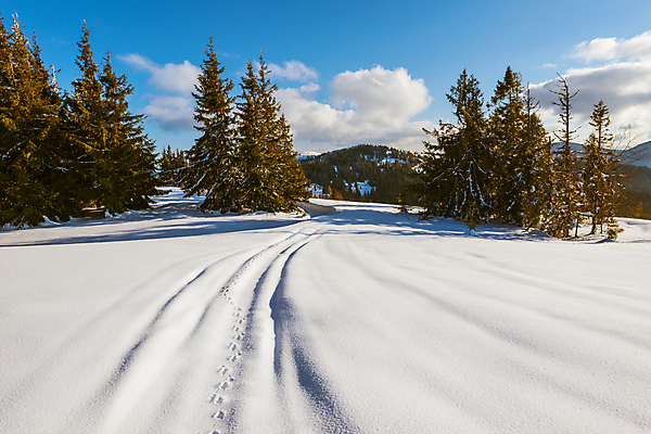 포토 JPG 해외이미지 나무 구름 유럽 여행 겨울 자연 하늘 휴가 스키 산 파노라마 풍경 사람없음 야외 파란색 태양 맑음 냉동 얼음 트래킹 하이킹 추위 성장 흰색 소나무 숲 언덕 서리 북쪽 슬로프 산악지대 웅장함 절정 폭설 눈내림 가문비나무 해외202008 해외포토 자연요소 식물 계절 나라 컬러 레저 날씨 겨울스포츠 스키장 눈_날씨 촬영기법 자연재해 방향 생태계 파일형식