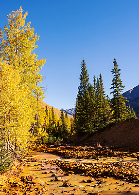 포토 JPG 해외이미지 구름 여행 잎 밭 오렌지 자연 하늘 날씨 산 풍경 사람없음 야외 초록색 파란색 태양 노란색 일출 달러 일몰 가을 흰색 붓 소나무 황금 씻기 숲 언덕 지역 드라마 내추럴 절정 콜로라도 화강암 해외202008 해외포토 자연요소 나무 식물 계절 컬러 돈 농업 과일 노을 미국 청결 암석 생태계 파일형식