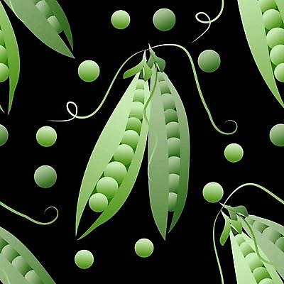 EPS 해외이미지 모양 식물 템플릿 디자인 백그라운드 꽃무늬 패턴 일러스트 자연 벽지 추상 미술 그래픽 장식 초록색 정원 수확 인쇄 시리얼 먹기 그림 질감 완두콩 내추럴 엘리먼트 포장소품 해외202008 해외일러스트 꽃 음식 컬러 무늬 농업 포장 모션 문화예술 콩 오브젝트 생태계 포장재료 파일형식 벡터