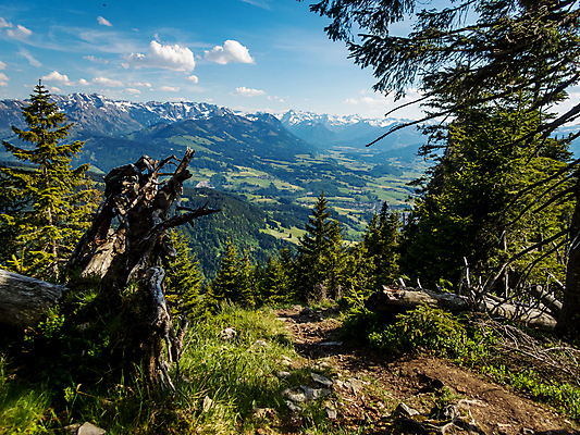 포토 JPG 해외이미지 계절 공원 여행 자연 휴가 산 파노라마 이끼 미소 사람없음 야외 초록색 여름 햇빛 맑음 트래킹 하이킹 낭만 흐름 가을 시골 정상 숲 편안함 알프스 천연기념물 내추럴 절정 바이에른 해외202008 해외포토 공공시설 유럽 컬러 컨셉 레저 날씨 독일 촬영기법 표정 태양 감각 생태계 파일형식
