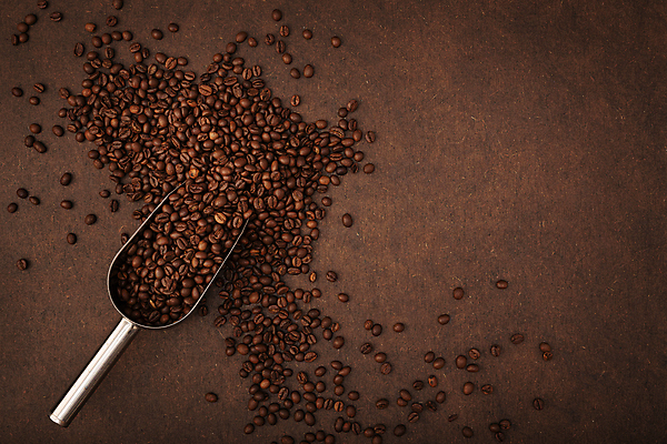 포토 JPG 해외이미지 커피 음료 음식 백그라운드 가방 재료 탁자 콩 씨앗 사람없음 목재 갈색 카페 에너지 시골 액체 맛 커피잔 낟알 굽기 국자 향기 냄새 아로마 향 카페테리아 에스프레소 구성 모카 아라비카 카페인 많음 카피스페이스 해외202008 해외포토 나무 식물 잡화 컬러 가구 컨셉 주방용품 잔 곡류 상점 공백 구이 파일형식