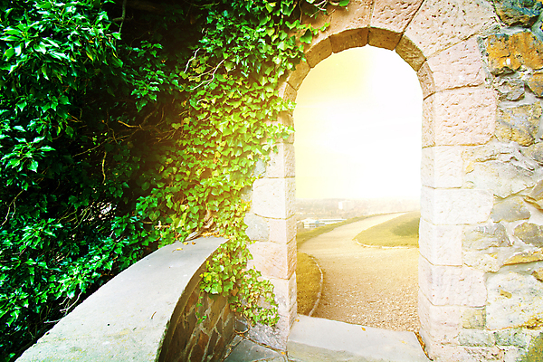 포토 JPG 해외이미지 백그라운드 컨셉 잎 밭 상상 자연 하늘 성공 날씨 출입구 새로움 건조 풍경 초원 사람없음 초록색 여름 파란색 빛 세계 글로벌 문 환경 희망 자유 가을 흰색 시골 죽음 오픈 뜨거움 변화 황금 땅 오브젝트 기회 가뭄 온도 오해 가상 해외202008 해외포토 식물 계절 감정 컬러 농업 생태계 파일형식