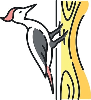 EPS 해외이미지 나무 일러스트 사람없음 노란색 귀여움 플랫 딱따구리 해외202008 해외일러스트 식물 컬러 컨셉 조류 파일형식 벡터