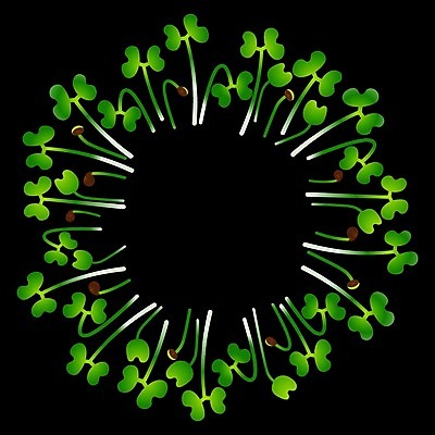 EPS 해외이미지 식물 템플릿 잎 채소 일러스트 재료 자연 건강 씨앗 새싹 보라색 봄 성장 신선 심볼 유기농 원예 날것 비타민 내추럴 모종 채식주의자 디톡스 비건 해외202008 해외일러스트 웰빙 계절 컬러 취미 생태계 채식 영양소 파일형식 벡터