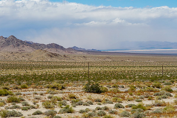 포토 JPG 해외이미지 구름 공원 여행 백그라운드 교통시설 자동차 자연 하늘 거리 풍경 사람없음 야외 여름 파란색 태양 계곡 미국 놀람 운전 사막 시골 고속도로 아스팔트 땅 그림 캘리포니아 무한 수평선 해외202008 해외포토 자연요소 계절 공공시설 감정 도로 육상교통 컬러 교통 북아메리카 모션 표정 시설 생태계 파일형식