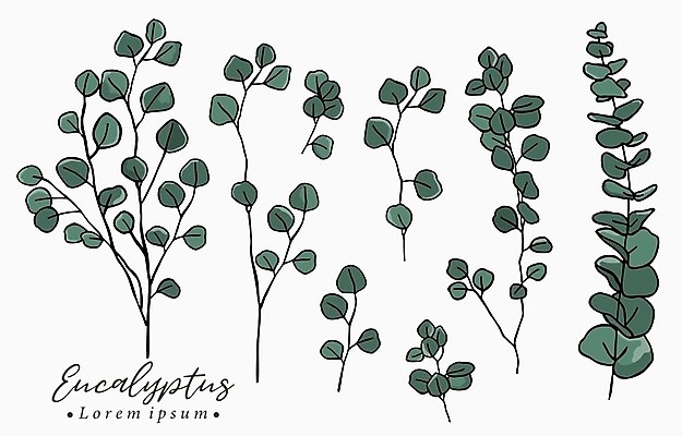 EPS 해외이미지 식물 디자인 꽃 선 꽃다발 결혼 잎 일러스트 장신구 자연 추상 사랑 그래픽 장식 화환 화장품 수확 시골 우아함 상품 신비 수집 심볼 오브젝트 사인 그림 유기농 심플 내추럴 돌봄 엘리먼트 모노그램 세련 미니멀 해외202008 해외일러스트 웰빙 감정 컨셉 무늬 농업 모션 이벤트 뷰티 생태계 파일형식 벡터