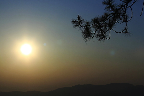 포토 JPG 해외이미지 나무 구름 계절 실루엣 백그라운드 낙엽 꽃무늬 오렌지 자연 휴식 스웨덴 풍경 사람없음 야외 목재 초록색 빛 컬러풀 평화 일출 환경 검은색 침묵 황혼 일몰 새벽 나뭇가지 시골 죽음 소나무 숲 큼 생물학 장면 생태학 스칸디나비아 옛날 노화 해외202008 해외포토 자연요소 식물 교육 꽃 컬러 컨셉 잎 무늬 과일 재료 촬영기법 북유럽 노을 소리 크기 생태계 파일형식