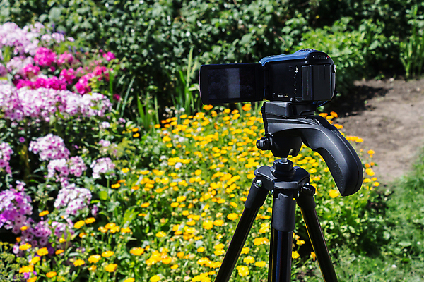 포토 JPG 해외이미지 식물 직업 공원 꽃 나비 곤충 백그라운드 자연 사람없음 야외 장식 초록색 컬러풀 카메라 마을 디지털 정원 검은색 텔레비전 봄 망원경 장비 흰색 기자 땅 빌라 필름 영화 오브젝트 시골집 동영상 고립 옛날 해외202008 해외포토 동물 계절 공공시설 컬러 문화예술 주택 전자제품 생태계 파일형식