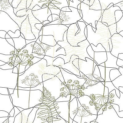 EPS 해외이미지 식물 실루엣 잎 패턴 일러스트 자연 그래픽 들꽃 가을 그림 손그림 딜 양치류 현실 해외202008 해외일러스트 계절 꽃 무늬 촬영기법 생태계 파일형식 벡터