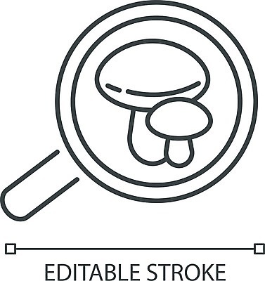 EPS 해외이미지 식물 디자인 교육 선 과학 컨셉 인터넷 일러스트 자연 미술 취미 학습 스터디 픽토그램 웹 버섯 성장 플랫 강의 심볼 사인 검색 그림 생물학 사냥 심플 윤곽 확대경 온라인 발견 내추럴 고립 곰팡이 규율 그물버섯 식용 얇은 해외202008 해외일러스트 문화예술 생태계 파일형식 벡터