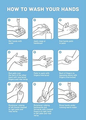 EPS 해외이미지 손 포스터 지도 일러스트 손가락 건강 병원 손바닥 설명 안전 세로 물 약 건강관리 인포그래픽 젖음 정보 바이러스 보호 위생 씻기 빨래 상품 청소 심볼 묘사 예방 감염 비누 박테리아 단계 순서 돌봄 위생관리 전염병 조언 해외202008 해외일러스트 자연요소 컨셉 가사 의학 모션 관리 신체부위 위생용품 청결 질병 파일형식 벡터