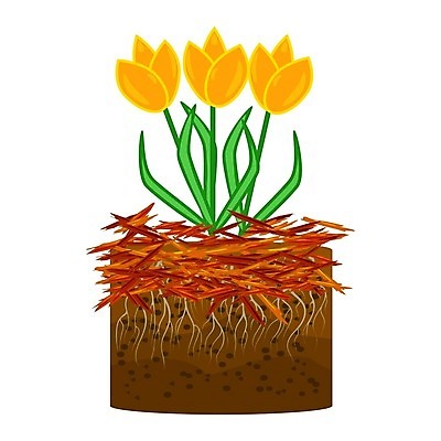 EPS 해외이미지 식물 무료이미지 디자인 배너 꽃 농업 일러스트 주택 간판 풍경 목재 빨간색 라벨 세일 정원 흙 봄 튤립 신선 소나무 잡초 플랫 만화 청소 서비스 물주기 흰배경 유기농 원예 조경 뿌리 번짐 화단 유지 고립 돌봄 뒤뜰 무생채 삼나무 해외202008 해외202105 해외일러스트 나무 웰빙 계절 산업 컬러 백그라운드 재료 모션 프레임 취미 건물 흰색 파일형식 벡터 무료콘텐츠 효과