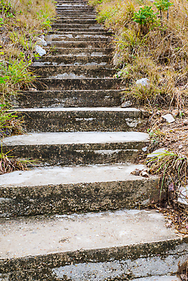 포토 JPG 해외이미지 나무 식물 도로 길 잎 자연 풍경 사람없음 야외 초록색 계단 환경 산책 바위 오솔길 방향 단계 내추럴 방법 해외202008 해외포토 컬러 교통시설 휴식 돌_바위 생태계 파일형식