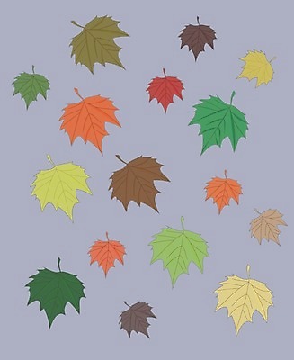 EPS 해외이미지 식물 디자인 계절 백그라운드 단풍 잎 꽃무늬 오렌지 일러스트 자연 그래픽 장식 빨간색 초록색 세트 컬러풀 노란색 가을 흰색 9월 스케치 심볼 질감 10월 내추럴 고립 엘리먼트 해외202008 해외일러스트 꽃 컬러 무늬 과일 미술 날짜 생태계 파일형식 벡터