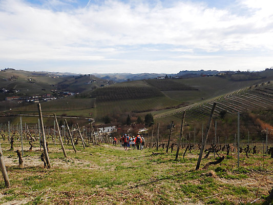 포토 JPG 해외이미지 식물 여행 밭 자연 하늘 사람 풍경 사람없음 야외 초록색 평화 걷기 환경 이탈리아 산책 트래킹 탐험 농촌 시골 숲 언덕 포도밭 장면 산기슭 내추럴 해외202008 해외포토 유럽 컬러 컨셉 농업 모션 레저 휴식 산 생태계 파일형식