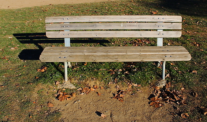 포토 JPG 해외이미지 공원 벤치 의자 그림자 사람없음 야외 목재 정원 고립 수목 해외202008 해외포토 나무 공공시설 가구 재료 파일형식