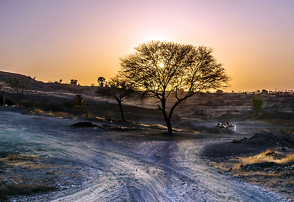 포토 JPG 해외이미지 나무 구름 실루엣 도로 여행 백그라운드 오렌지 자연 하늘 휴가 풍경 사람없음 여름 경제 빛 도시풍경 태양 노란색 마을 탑 황혼 일몰 도시 황금 캔 저녁 장면 타운 스카이라인 내추럴 중고 해외202008 해외포토 자연요소 식물 건축물 계절 길 컬러 과일 교통시설 촬영기법 노을 야간 생태계 파일형식