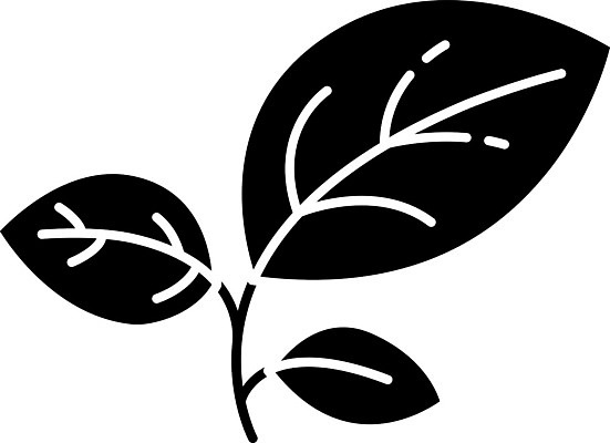 EPS 해외이미지 나무 식물 디자인 꽃 실루엣 줄기 컨셉 잎 인터넷 일러스트 자연 씨앗 쇼핑 픽토그램 새싹 환경 상점 검은색 웹 봄 성장 플랫 보호 가득함 심볼 에코 원예 심플 온라인 전자상거래 고립 모종 묘목 상형문자 생태학 엘리먼트 활자 그리너리 해외202008 우호적 해외일러스트 문자 계절 교육 컬러 촬영기법 취미 생태계 활자판 파일형식 벡터 트랜드컬러 인쇄판 인쇄