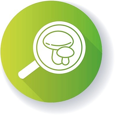 EPS 해외이미지 클립아트 식물 디자인 교육 과학 백그라운드 컨셉 인터넷 일러스트 자연 그림자 초록색 학습 스터디 픽토그램 웹 버섯 성장 흰색 원형 플랫 강의 가득함 심볼 사인 검색 생물학 확대경 온라인 발견 내추럴 곰팡이 규율 그물버섯 상형문자 엘리먼트 활자 해외202008 해외일러스트 도형 문자 컬러 생태계 활자판 파일형식 벡터 인쇄판 인쇄