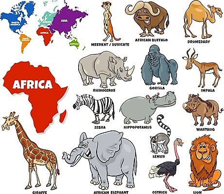 EPS 해외이미지 동물 캐릭터 디자인 교육 어린이 지도 일러스트 학교 아프리카 자연 코끼리 종류 그래픽 학습 세트 세계 유치원 가르침 사자 만화 기린 대륙 그림 낙타 얼룩말 문제집 코뿔소 단봉낙타 미어캣 지도책 지리 해외202008 해외일러스트 일러캐릭터 나라 포유류 사람 책 말 생태계 파일형식 벡터
