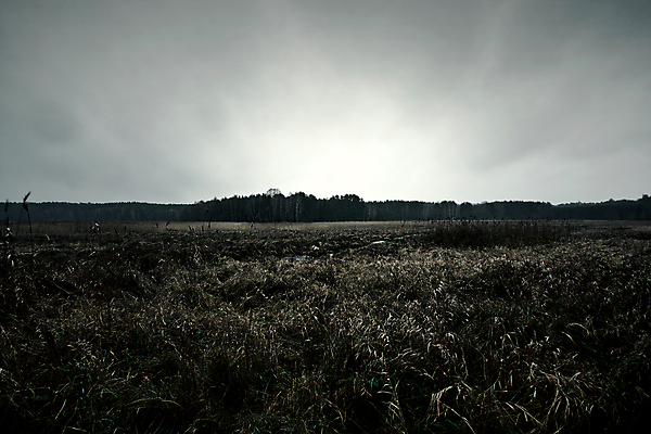 포토 JPG 해외이미지 구름 지구 밭 자연 하늘 날씨 풍경 초원 사람없음 세로 어둠 황혼 할로윈 회색 시골 야간 땅 장면 뇌우 수평선 해외202008 해외포토 자연요소 컬러 농업 일몰 생태계 파일형식