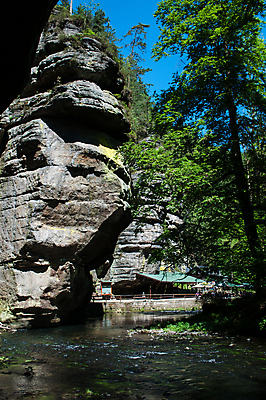 포토 JPG 해외이미지 나무 자연 풍경 사람없음 강 골짜기 봄 개울 숲 5월 체코 보헤미아 해외202008 해외포토 식물 계절 유럽 날짜 생태계 파일형식