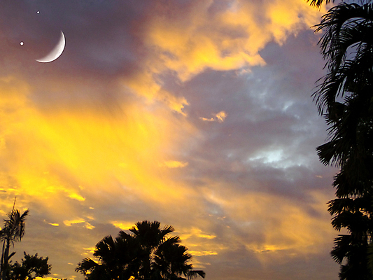 포토 JPG 해외이미지 구름 캐릭터 행복 실루엣 백그라운드 자연 하늘 미소 사람없음 야외 가로 파란색 빛 반사 우주 어둠 침묵 황혼 할로윈 젖음 달 전원 야간 저녁 신비 달빛 가득함 문학 광 유일 해외202008 해외포토 자연요소 감정 컬러 컨셉 촬영기법 표정 소리 일몰 전기에너지 생태계 파일형식