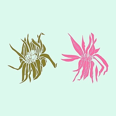 EPS 해외이미지 클립아트 식물 손 배너 꽃잎 꽃 실루엣 선 백그라운드 잎 꽃무늬 일러스트 자연 잉크 미술 그래픽 장식 세트 펜 정원 봄 우아함 숲 만화 스케치 허브 그림 유기농 윤곽 손그림 고립 그리너리 해외202008 해외일러스트 웰빙 계절 컨셉 무늬 문화예술 촬영기법 신체부위 필기구 생태계 파일형식 벡터 트랜드컬러