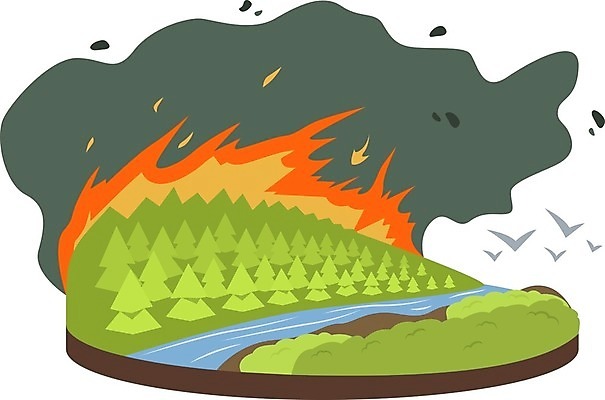 EPS 해외이미지 디자인 지구 일러스트 조류 불 날씨 불꽃 목재 그래픽 컬러풀 환경 손상 소나무 뜨거움 변화 플랫 연기 더위 숲 위험 만화 장면 충격 침엽수 내추럴 연소 비극 삼림지대 생태학 심각 엘리먼트 재앙 효과 해외202008 해외일러스트 자연요소 나무 동물 교육 컬러 컨셉 재료 파일형식 벡터