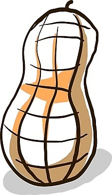 EPS 해외이미지 디자인 음식 다이어트 과일 일러스트 재료 자연 건강 씨앗 세트 견과류 껍질 만화 수집 그림 유기농 날것 땅콩 호두 내추럴 개암나무 고립 채식주의자 캐슈넛 피스타치오 비건 해외202008 해외일러스트 나무 식물 웰빙 생태계 채식 파일형식 벡터