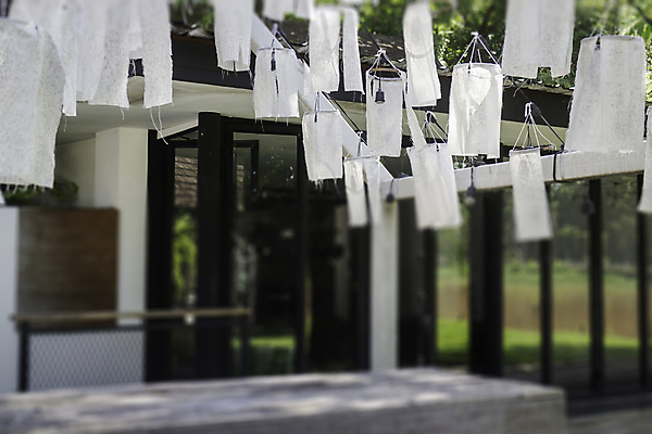 포토 JPG 해외이미지 나무 식물 디자인 꽃 가구 컨셉 의자 태국 자연 탁자 휴가 이벤트 잔디 사람없음 야외 목재 장식 가로 여름 파티 식당 식사 저녁식사 축하 점심식사 해외202008 해외포토 계절 아시아 생활용품 재료 상점 생태계 파일형식