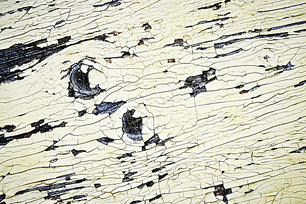 포토 JPG 해외이미지 디자인 벽 백그라운드 패턴 표면 날씨 추상 사람없음 목재 페인트 손상 회색 수확 흰색 시골 거친 그리기 질감 복고 그런지 수목 옛날 스타일 효과 해외202008 해외포토 나무 컬러 컨셉 무늬 농업 재료 모션 파일형식