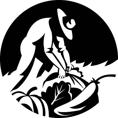 EPS 해외이미지 남자 꽃 농업 채소 일러스트 호박 오이 흑백 그래픽 초록색 농장 당근 수확 원형 농부 유기농 복고 스쿼시 밭일 해외202008 해외일러스트 도형 식물 직업 웰빙 산업 스포츠 컬러 뿌리채소 촬영기법 사람 구기 파일형식 벡터