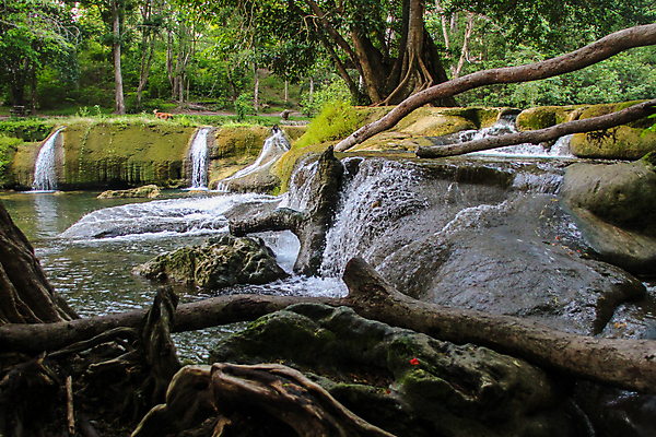 포토 JPG 해외이미지 나무 계절 공원 여행 잎 태국 자연 산 풍경 사람없음 야외 초록색 물 빛 강 여행객 평화 환경 봄 폭포 젖음 흐름 가을 신선 개울 숲 내추럴 전국 해외202008 해외포토 자연요소 식물 공공시설 아시아 컬러 컨셉 사람 생태계 파일형식