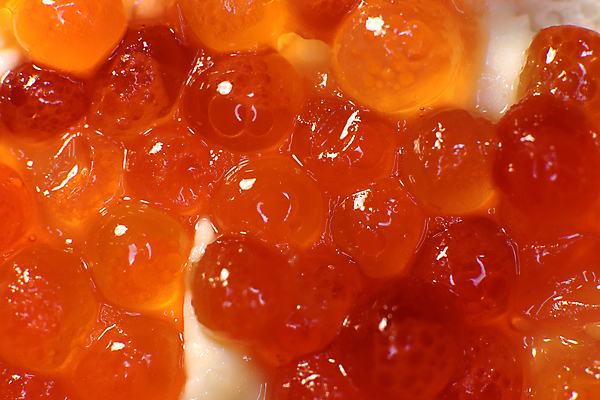 포토 JPG 해외이미지 음식 빵 사람없음 빨간색 버터 캐비아 해외202008 해외포토 컬러 식재료 파일형식