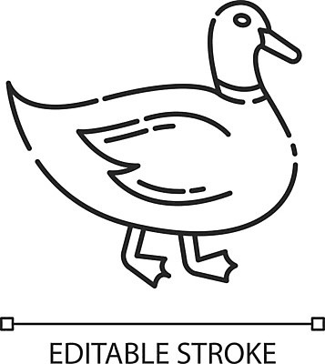 EPS 해외이미지 동물 디자인 야생동물 선 컨셉 일러스트 자연 조류 생물 오리 미술 일상 픽토그램 농장 농사 웹 가축 연못 플랫 심볼 깃털 사인 그림 심플 윤곽 물새 청둥오리 고립 동물상 마스코트 밭일 얇은 주민 해외202008 해외일러스트 농업 인터넷 문화예술 라이프 조형물 생태계 파일형식 벡터