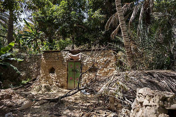 포토 JPG 해외이미지 식물 문화 백그라운드 잎 밭 농업 중동 자연 휴가 산 건조 실내 사람없음 초록색 파란색 농장 환경 정원 사막 시골 뜨거움 농부 숲 오두막 오솔길 땅 언덕 아라비아 상록수 동쪽 내추럴 밭일 이국적 해외202008 해외포토 직업 나라 산업 길 컬러 내부 방향 생태계 파일형식