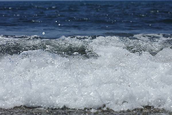 포토 JPG 해외이미지 파도 바다 섬 여행 자연 추상 조개 건강 풍경 해변 사람없음 물 여름 파란색 평화 맑음 침묵 목욕 거품 젖음 흐름 신선 투명 액체 떨어짐 매끈함 모래언덕 순수 석호 몰디브 이국적 터키석 파라다이스 해외202008 해외포토 자연요소 계절 아시아 컬러 컨셉 무늬 날씨 어패류 소리 청결 감각 보석 언덕 생태계 파일형식