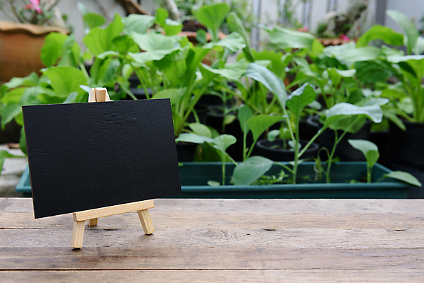 포토 JPG 해외이미지 식물 잡화 꽃 지구 음식 백그라운드 잎 농업 채소 텍스트 자연 주택 간판 건강 사람없음 야외 목재 초록색 농장 세일 새싹 환경 정원 검은색 흙 봄 성장 신선 시장 냄비 사인 유기농 원예 날것 내추럴 떠남 모종 해외202008 해외포토 나무 웰빙 계절 산업 컬러 재료 모션 취미 건물 솥 생태계 파일형식