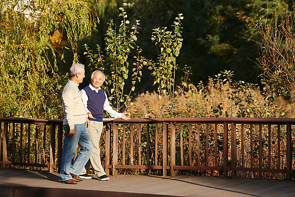 포토 JPG 주간 전신 나무 공원 할아버지 노년 단풍 대화 취미 야외 두명 옆모습 친구 실버라이프 걷기 우정 산책 한국인 가을 은퇴 70대 노인남자만 오팔세대 액티브시니어 국내포토 자연요소 식물 라이프스타일 계절 공공시설 남자 뷰포인트 잎 관계 모션 휴식 말하기 사람 동양인 성인 세대 남자만 노인만 파일형식